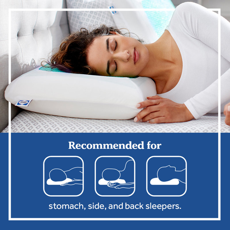 Sealy Essentials Cooling Gel Memory Foam Pillow, 2 Pack Wayfair